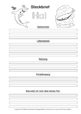 Hai-Steckbriefvorlage-sw-3.pdf